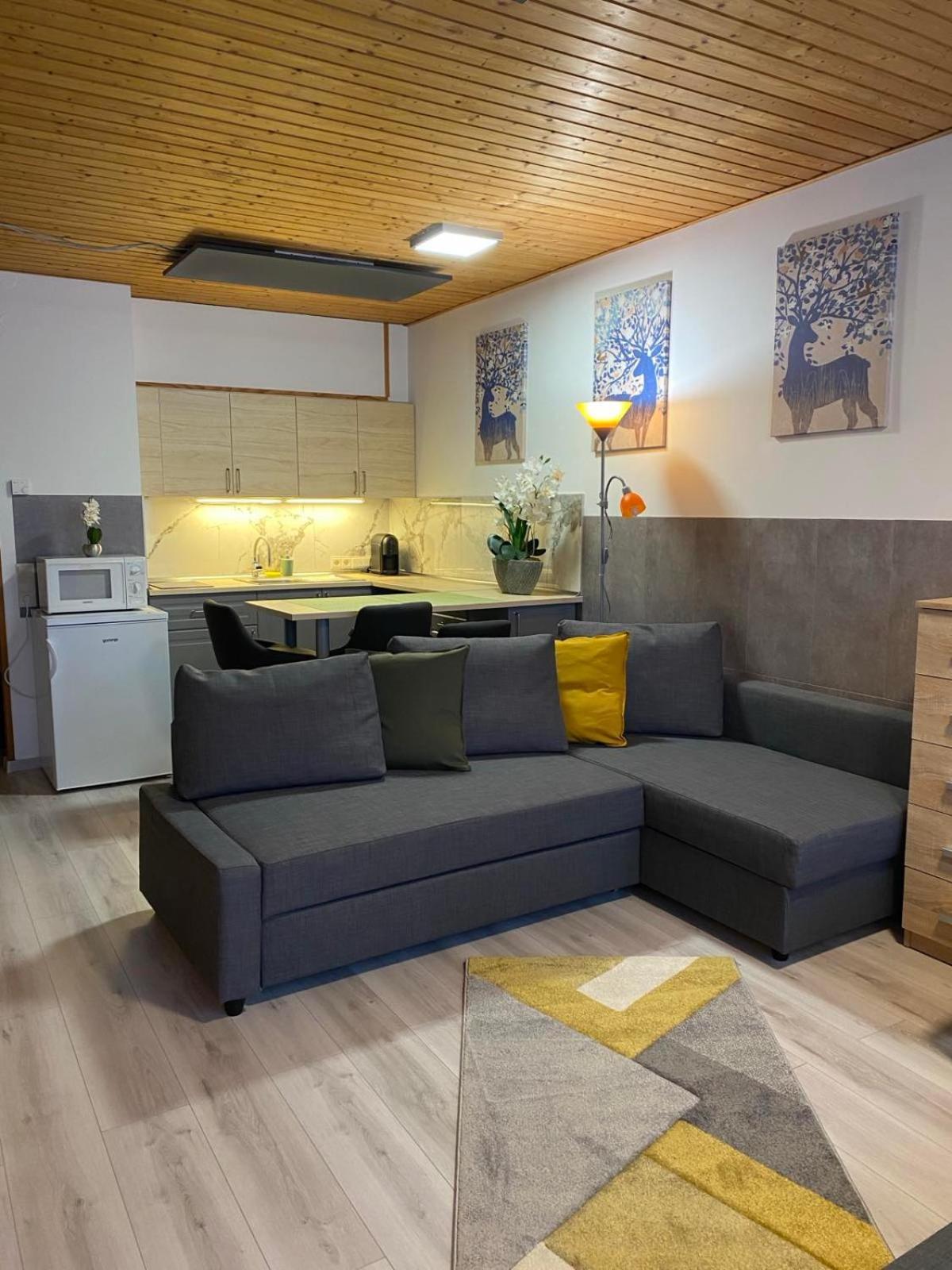 Cosy Apartment Tauplitz Luaran gambar